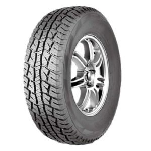 X-TERRAIN XT1 HILO